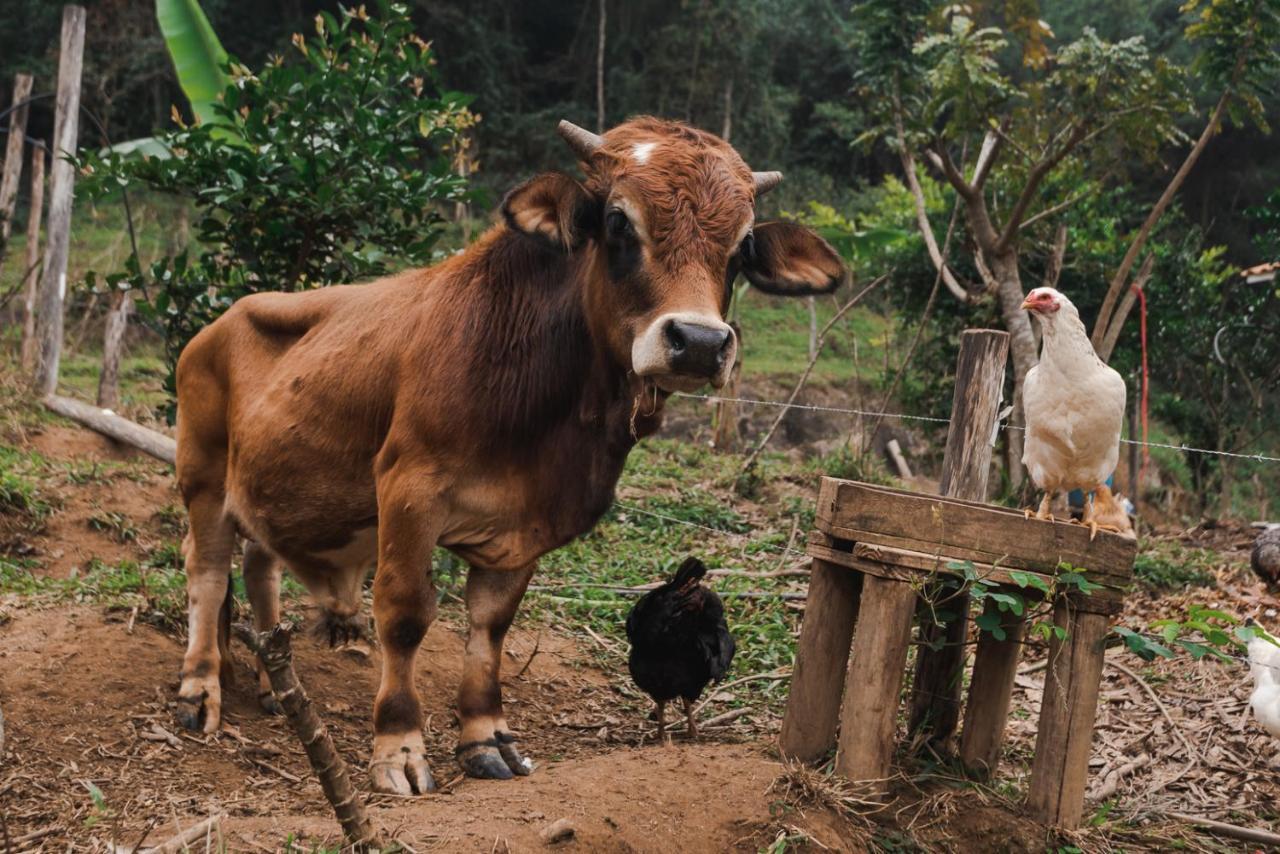Hotel Fazenda Monteiro Conservatória 外观 照片