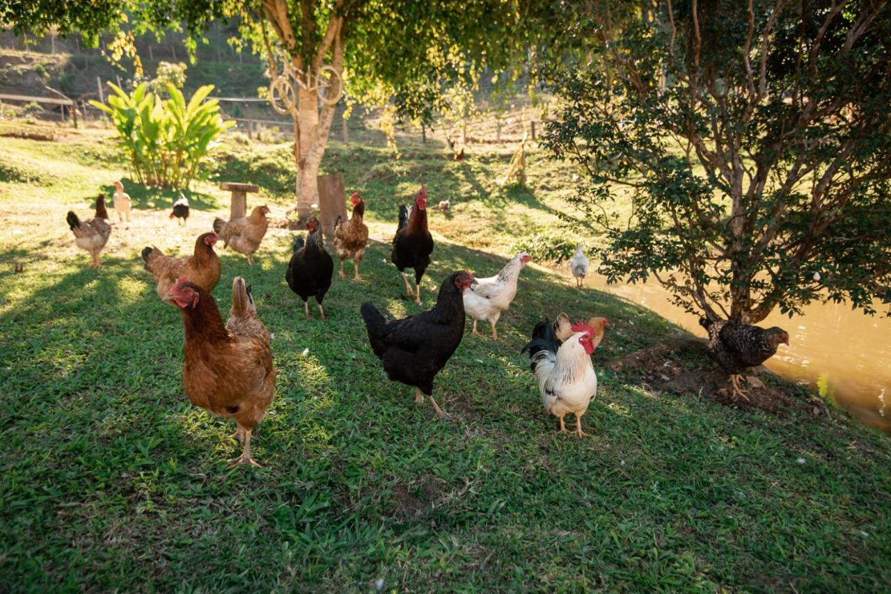 Hotel Fazenda Monteiro Conservatória 外观 照片