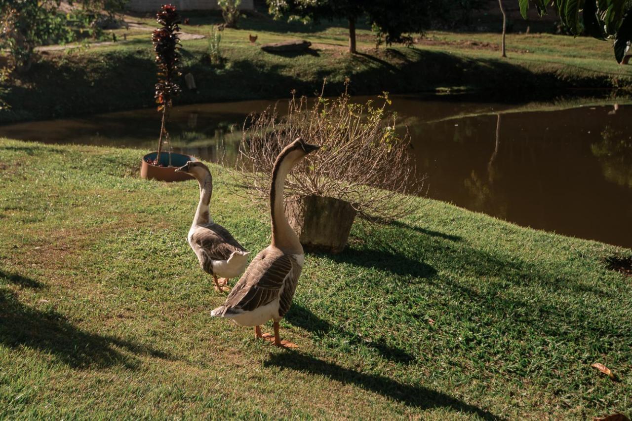 Hotel Fazenda Monteiro Conservatória 外观 照片